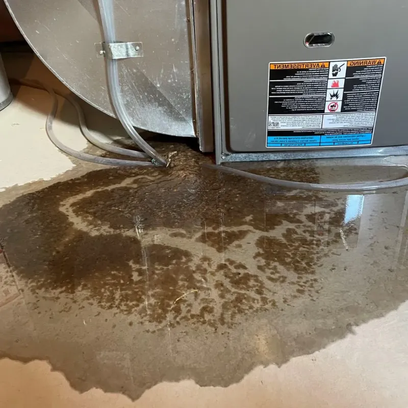 Pipe Burst and Leak Restoration in North Lawndale, IL