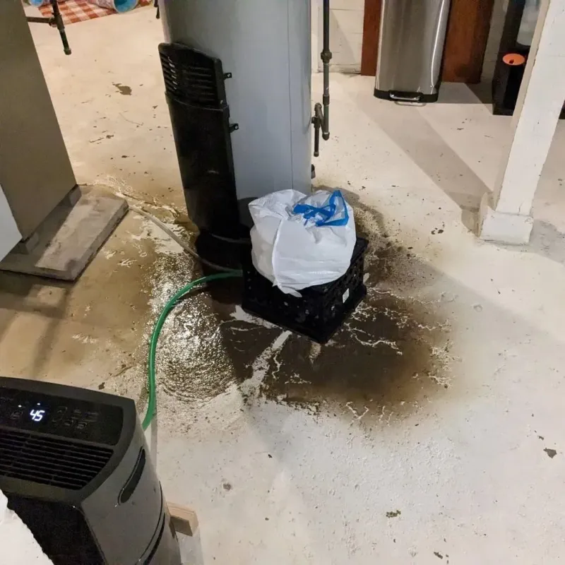 Sewage Backup Cleanup Service in North Lawndale, IL